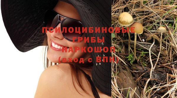 эйфоретик Белоозёрский