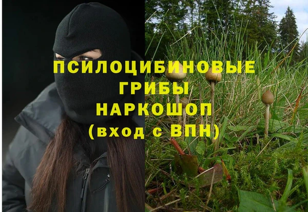 эйфоретик Белоозёрский