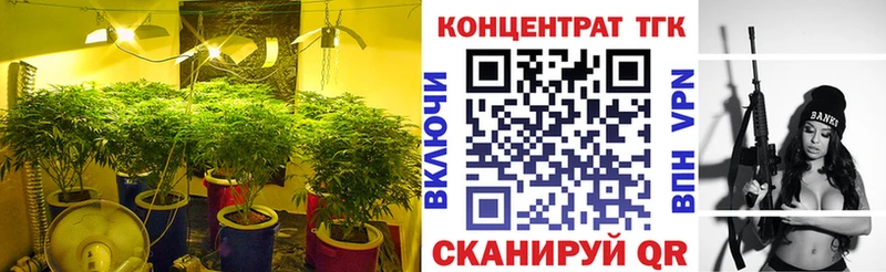 закладка  Верхотурье  Дистиллят ТГК концентрат 